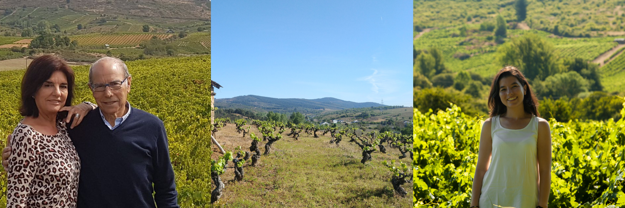 Estévez Bodegas y Viñedos