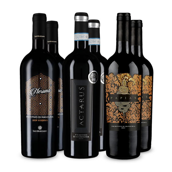 Wine in Black Premium-Primitivo-Paket