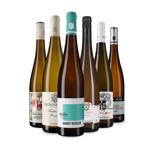 Wine in Black Riesling aus Ersten Lagen-Paket