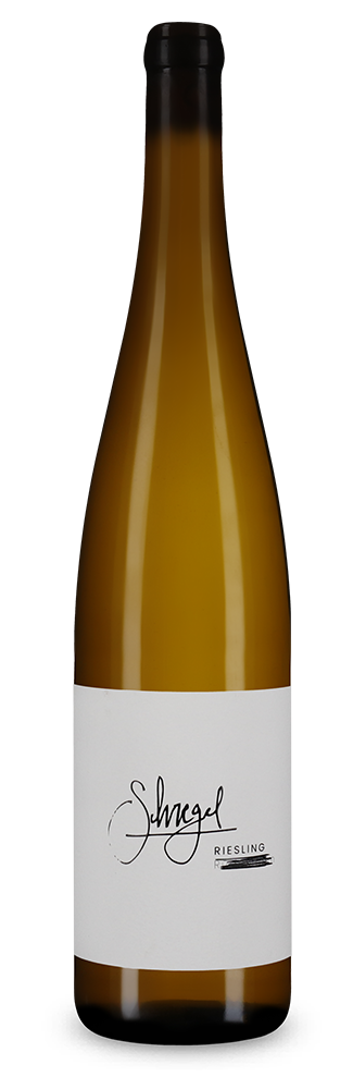 Riesling R. trocken 2023