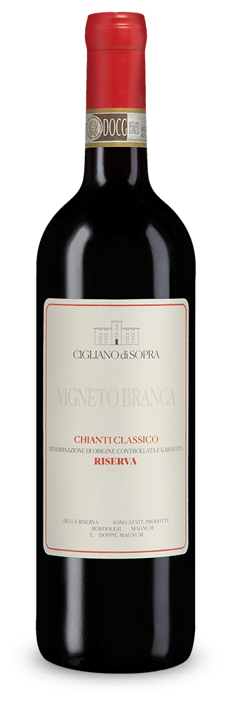 Chianti Classico Riserva Vigneto Branca 2021