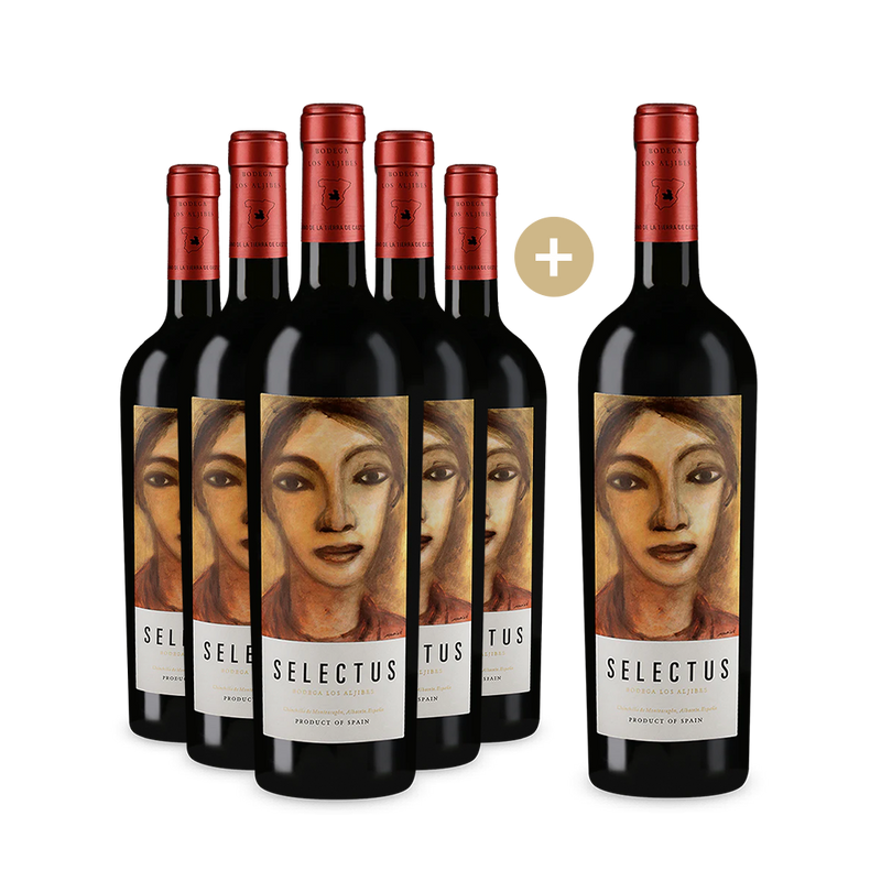 6 Flaschen Selectus 2007